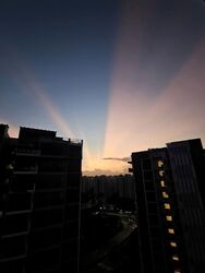 Esparina Residences (D19), Condominium #595530351